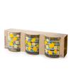 Set 3 bicchieri in vetro decorato Zest cl 25