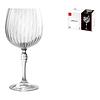Set 6 calici gin tonic America