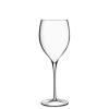 Set 6 calici medium Magnifico