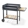 Barbecue professionale 70 47 eco