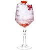 Set 6 calici cocktail Alkemist 660 ml