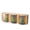 Set 3 bicchieri in vetro decorato Bloom cl 25