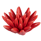 Riccio di mare decorativo in ceramica Fish rosso piccolo