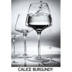 Calice Burgundy Aquarius