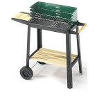 Barbecue a carbone Green Line 47166