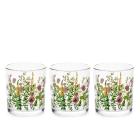 Set 3 bicchieri in vetro decorato Bloom cl 25