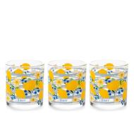 Set 3 bicchieri in vetro decorato Zest cl 25