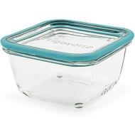 Contenitore ermetico per alimenti Frigoverre Futura cm 14x14