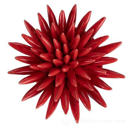 Riccio di mare decorativo in ceramica Fish rosso medio