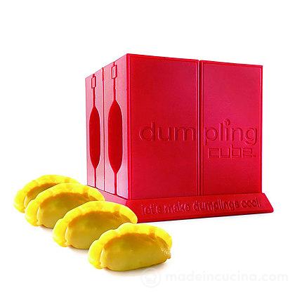 Dumpling Cube